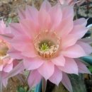 천시원교육농장 이미지