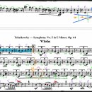 비바체안경 이미지