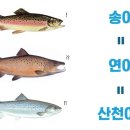 군언송어횟집 이미지