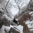 땅통종주＜22＞(대간6/비조령~대야산)41.66km.. 겨울은 가고 봄이 온 날에 춘설이 내리고.. 이미지