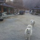 풍류정민박 Daum카페