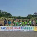 금성면 이미지