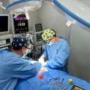 수동물메디컬센터 | 반려견 재활 운동이 필요할 때, 루시드동물메디컬센터가 도와드리겠습니다.