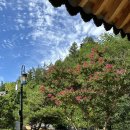 장수도깨비 한옥&글램핑 이미지