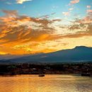 동백꽃마을 이미지