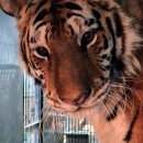 (주)이호 이미지