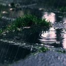 오늘 여기 이미지