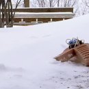 WATCH SOFT 이미지