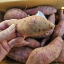 세일포장