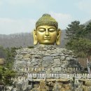 와우정사 이미지