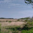 경기둘레길 시흥52코스 | 경기둘레길 갯길 시흥 52코스