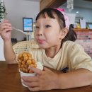 강릉 오란다 이미지