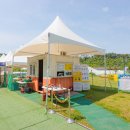 개리비안베이 | 2022.07.03 - 골든리트리버 최꼬미 at 파주 애견수영장 개리비안베이