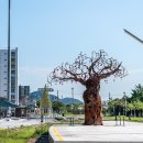 충남 서천 가족 여행 코스 :: 장항송림자연휴양림 장항 맥문동 꽃 축제, 국립해양생물자원관 씨큐리움, 국립생태원, 장항도시탐험역 이미지