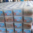 수원종합운동장 이미지