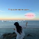 카페자리 - 남원시 광한북로 62 | 부산 기장 오션뷰 대형카페 코랄라니 자리추천 및 테라스 후기