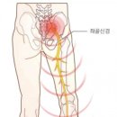 생생원리젠 - 남구 문수로435번길 24 | 생생원리젠