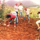 김미순농장 이미지