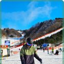 비발디파크