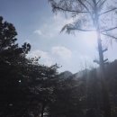 금주산방 까사 펜션 이미지