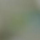 울산쥬니어소아치과의원 이미지