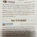 제부도 여행 🌊🦖 #광진구1인가구지원센터 #제부도 #방탈출 #빨간등대 #코리아케라톱스 화성엔시스