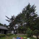 산골낚시터 | #1. 처음 쓰는 캠핑장 후기