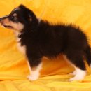 이지스힐 이미지