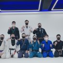 모던주짓수