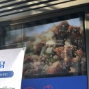 삼미치킨 이미지