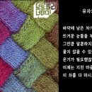 브로콜리너마저-유자차 오카리나 연주 이미지