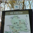 추원모차골 이미지