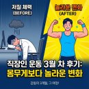 피트인365플러스 휘트니스센터 | [장유 헬스/장유 PT] 운동 1년 하면 몸 얼마나 변할까? [플러스짐 장유]