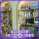 사랑스럽개 | 일산 애견미용 사랑스럽개｜우리 강아지 첫 미용, 만족도 100%