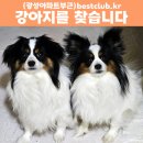 미추홀대로 이미지