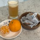 창주농장 | 제주 한라봉 5kg 보관방법 창주농장 고당도 하우스 한라봉 후기