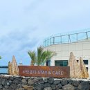 바당쿰다 이미지