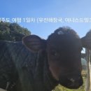 솔펜션 본관 이미지