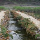 청정한우마을 이미지