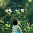 멍하루 네이버블로그