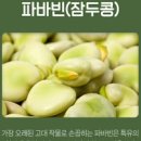 파바빈 효능 단백질 자이언트 파바빈 먹는법 파바빈콩 이미지