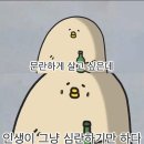 4월의 일상모음zip (1/4)