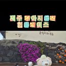 춘식이와옥희