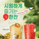 과일다방 베이비뉴스