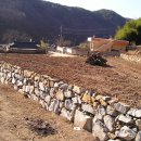 박달하지 이미지