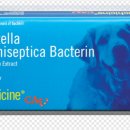 의정부동물약국 이미지