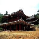 평창 오대산 사고 이미지