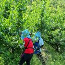 죽청농장 이미지