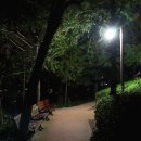 우암동 도시숲 이미지