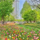 국제멀티웰빙샵 - 함안군 가야6길 11-5 | 2026 서울국제정원박람회 서울숲 나들이 포켓몬 포레스트 굿즈샵